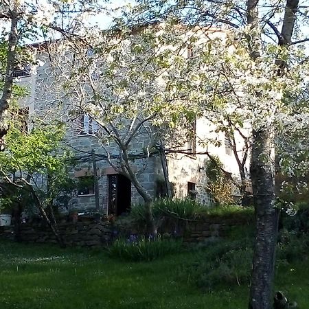 La Fonte B&B Pietralunga  Extérieur photo
