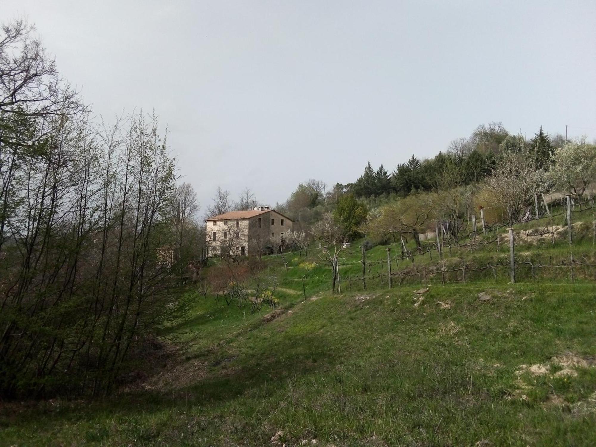 La Fonte B&B Pietralunga  Extérieur photo