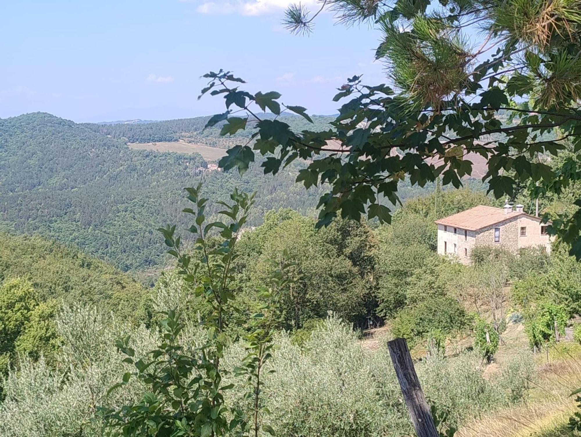 La Fonte B&B Pietralunga  Extérieur photo