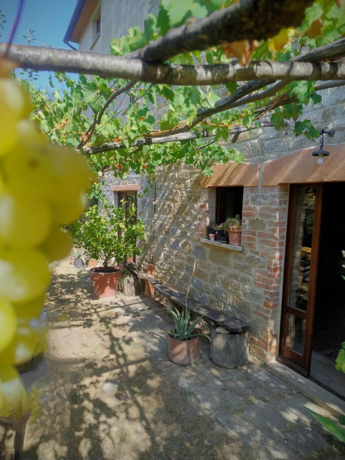 La Fonte B&B Pietralunga  Extérieur photo