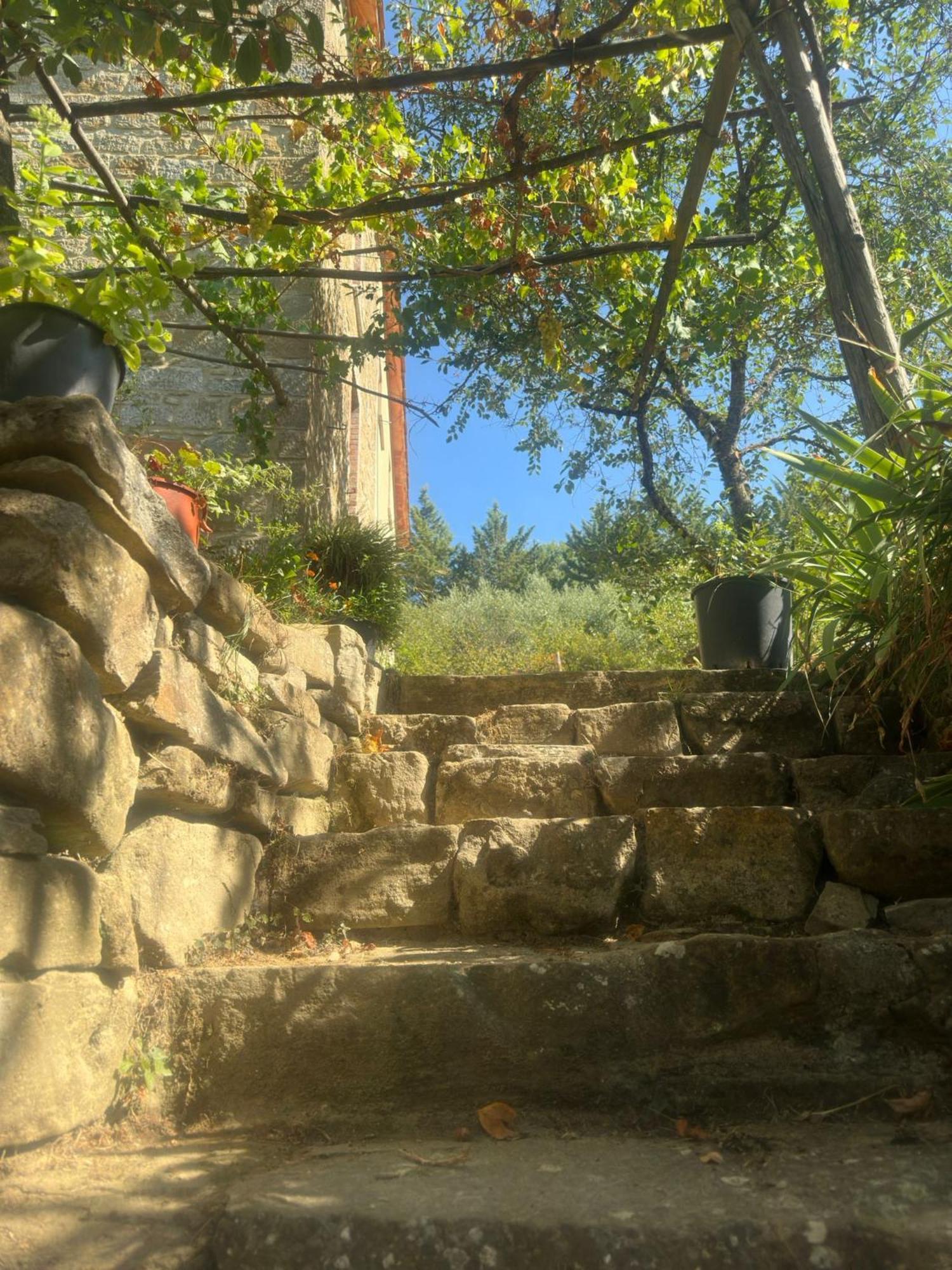 La Fonte B&B Pietralunga  Extérieur photo