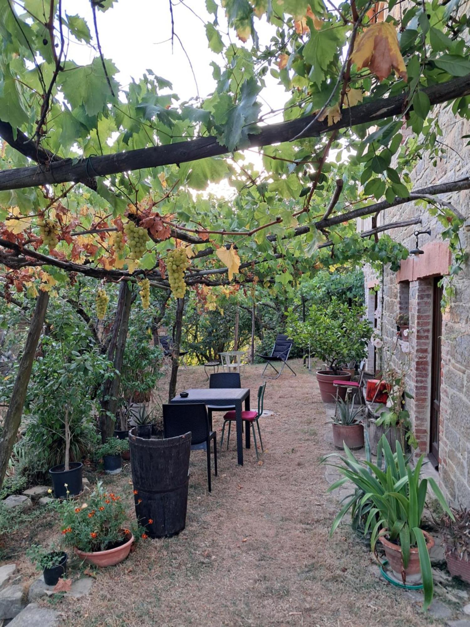 La Fonte B&B Pietralunga  Extérieur photo